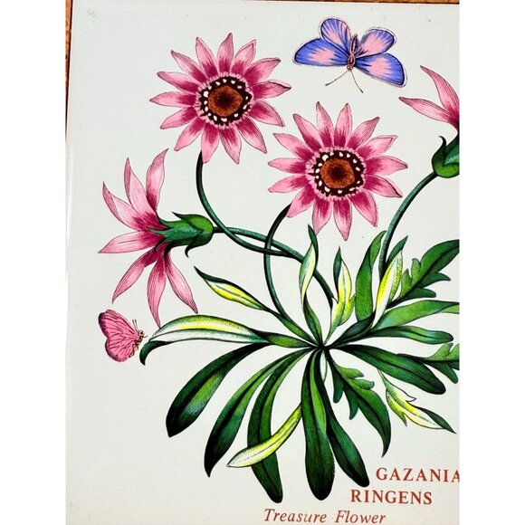 Cork Base Trivet Portmeirion Botanic Garden Gazania Ringens Treasure Flower - Picture 5 of 9